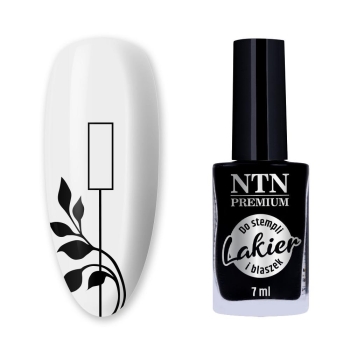 Lakier do stempli/blaszek NTN Premium czarny nr99-11057