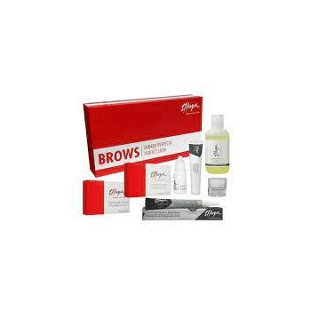 Zestaw THUYA do laminacji brwi Brow Master-12072